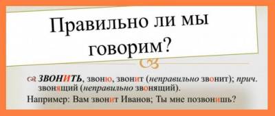 Как правильн описать слова ворота позвонишь